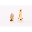 RP-0193 - RUDDOG 5mm Gold Plug Male (2pcs)